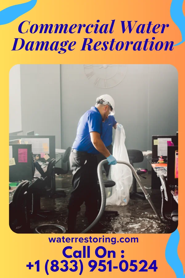 Commercial Water Damage Restoration in Paukaa, HI