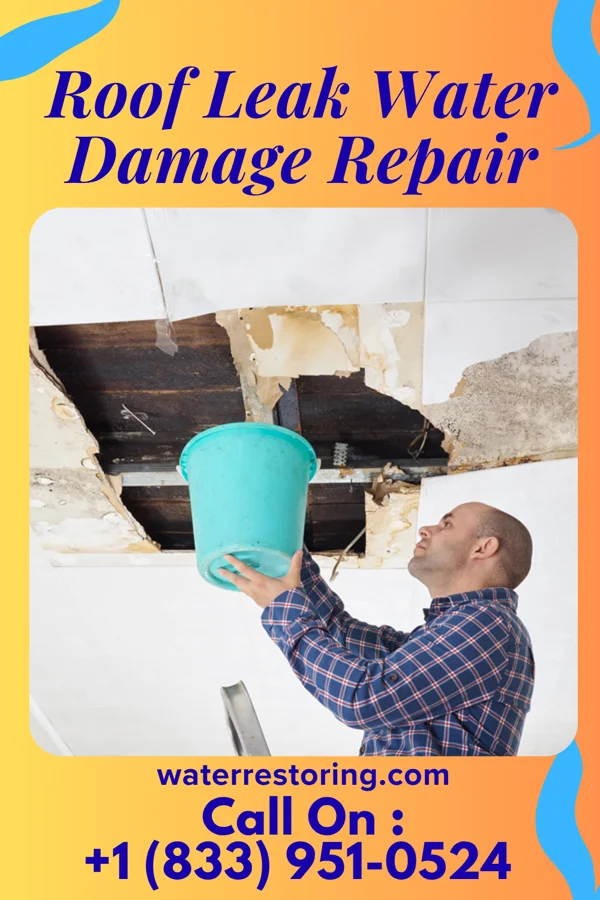 Roof Leak Water Damage Repair in Paukaa, HI
